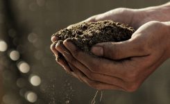 The Value of Soil Sampling, Characterization, and Disposal Services